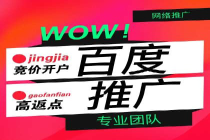 SEM优化师成功案例：助力企业实现品牌升级